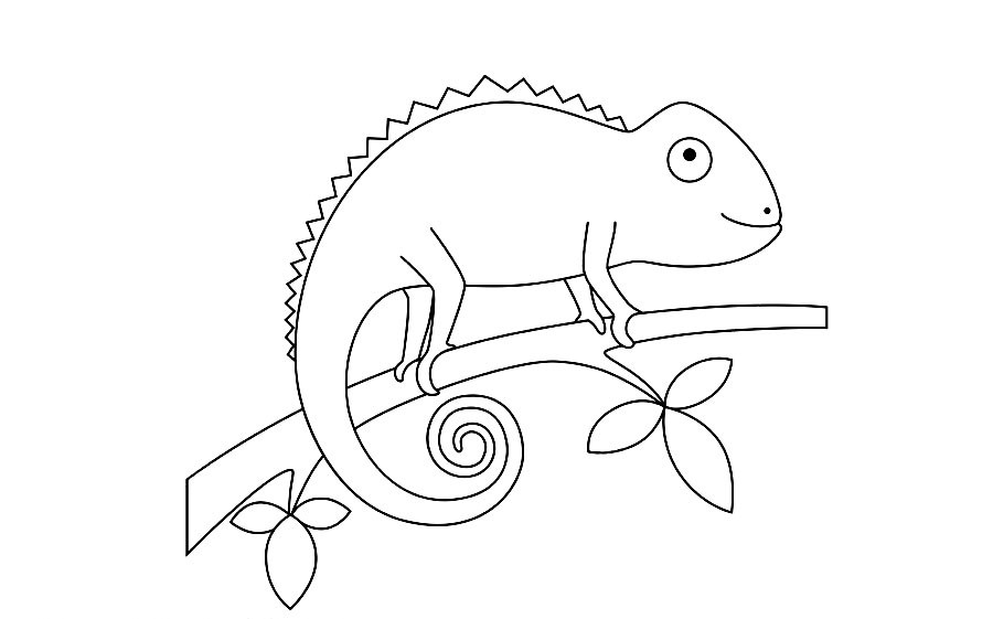 Chameleon