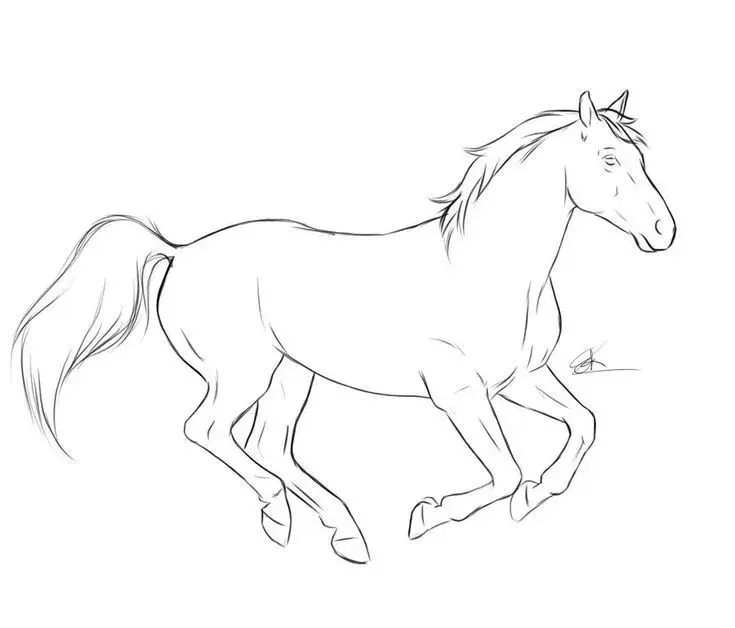 Horse